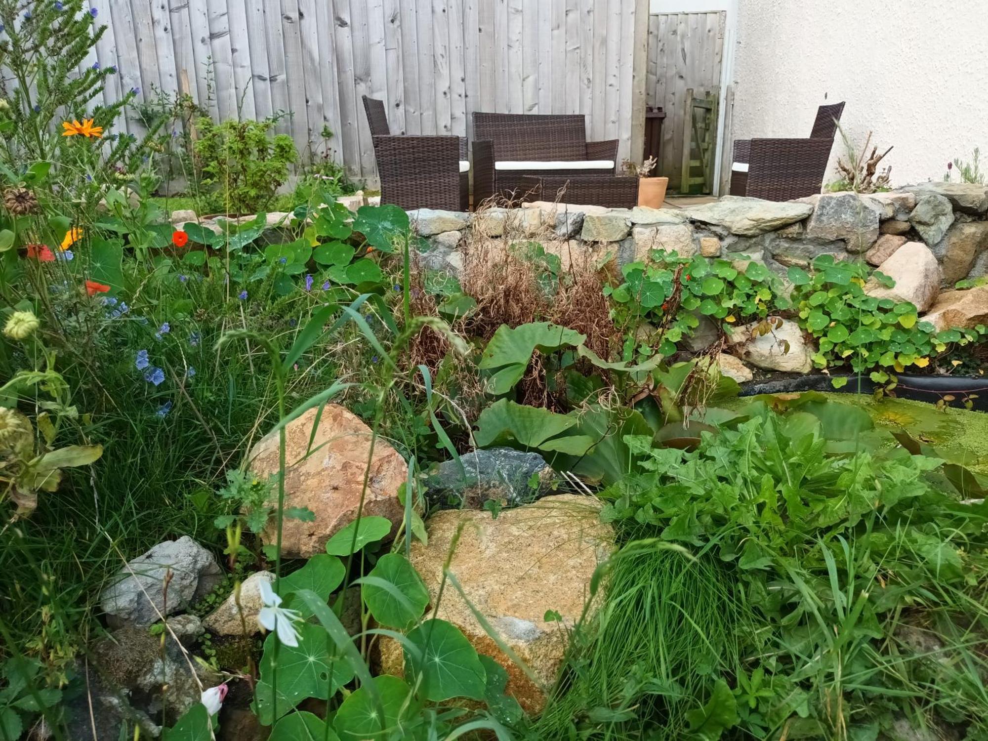 Sunrise! ~ 2 Bedrooms, Garden, Parking, Sea Views St Ives Exteriér fotografie